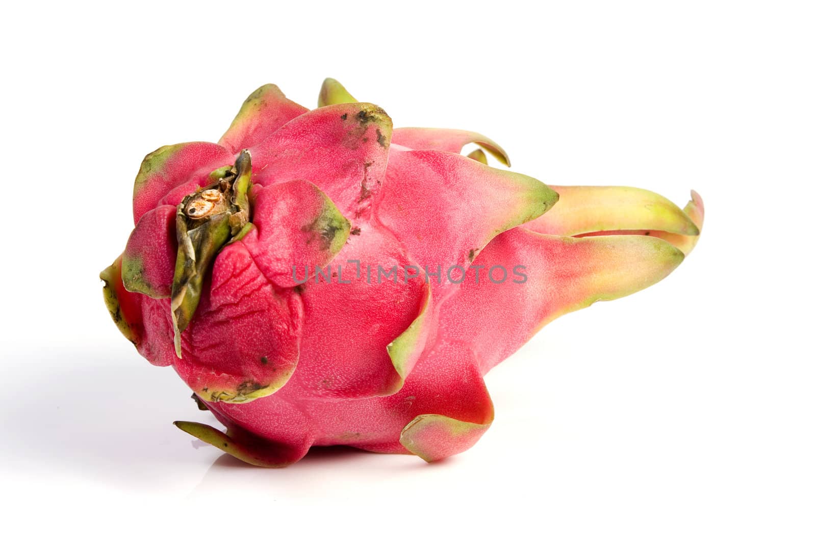 Tropical dragon fruit on isolated