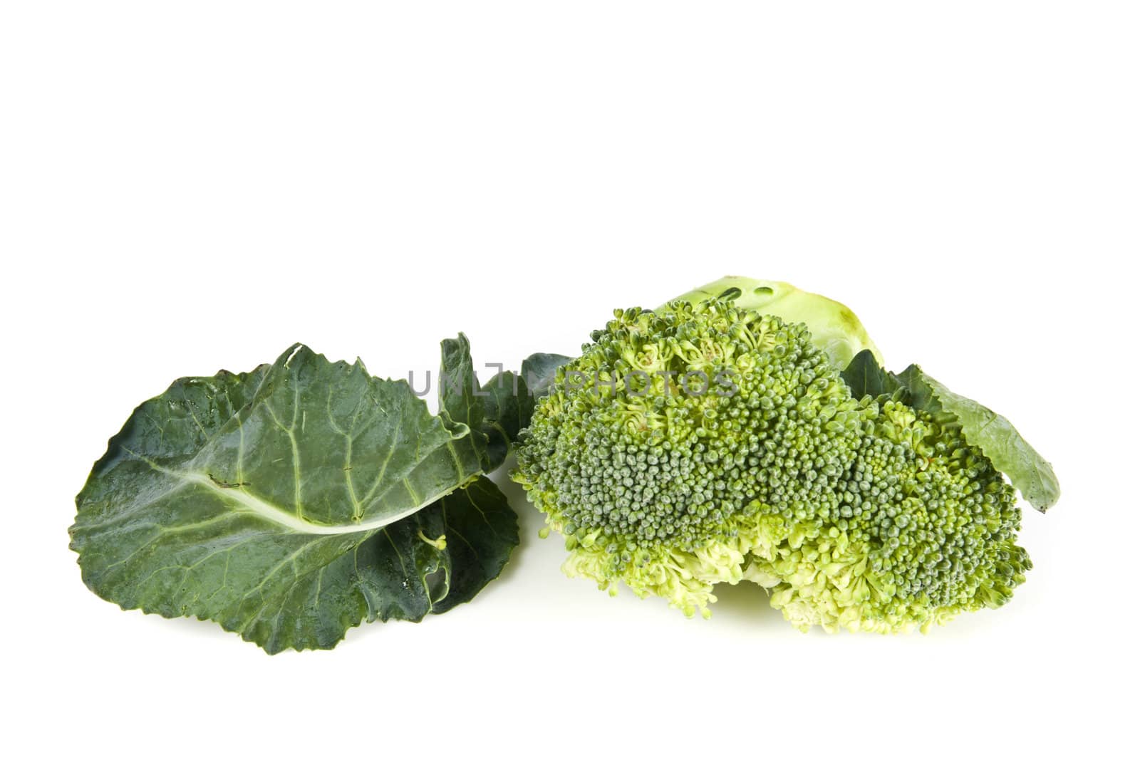 Fresh broccoli on white with soft shadow