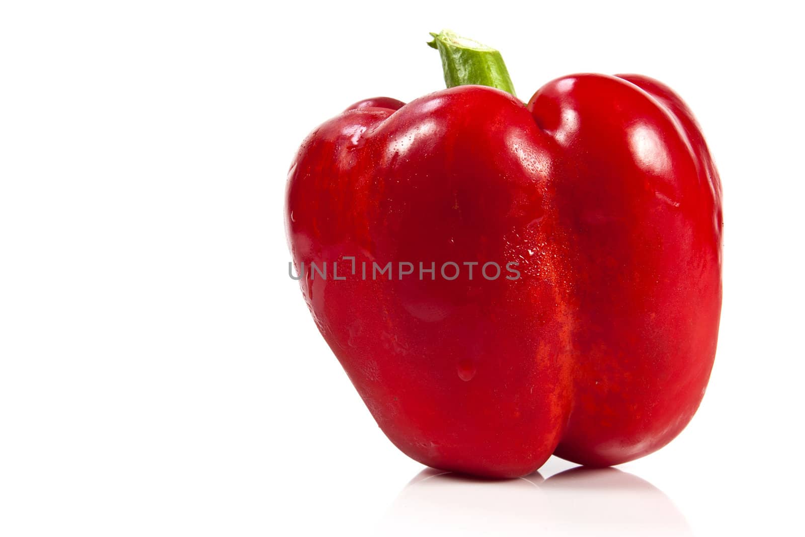 Red bell pepper on white background with blank text copy space
