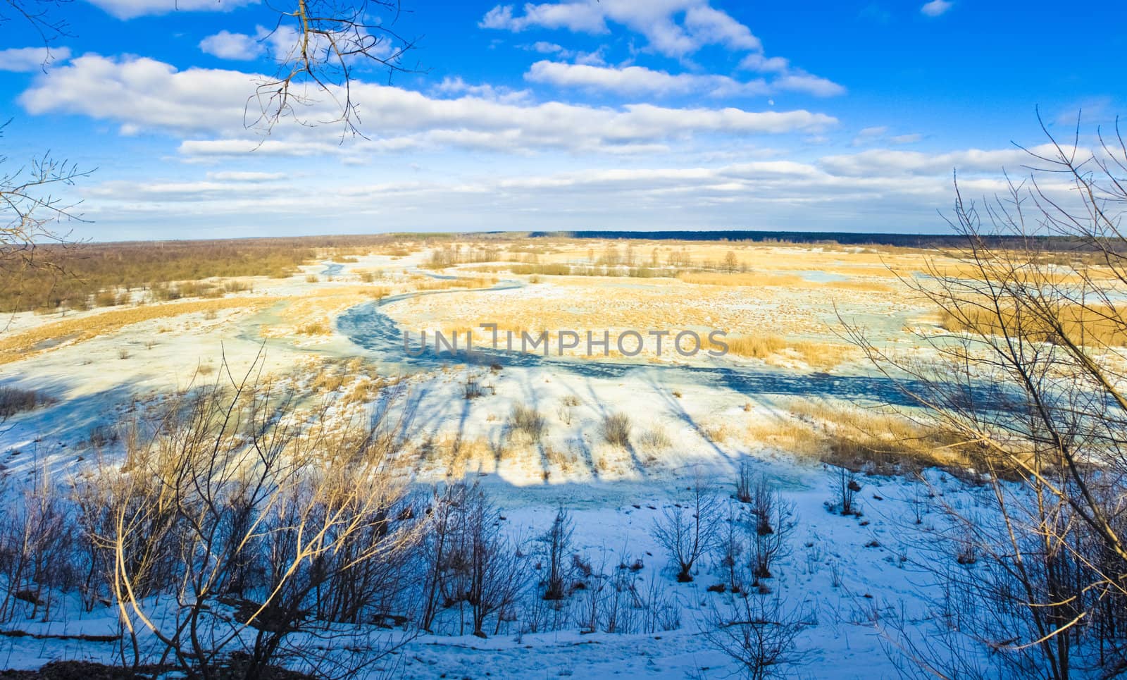 Winter landscape  in snow