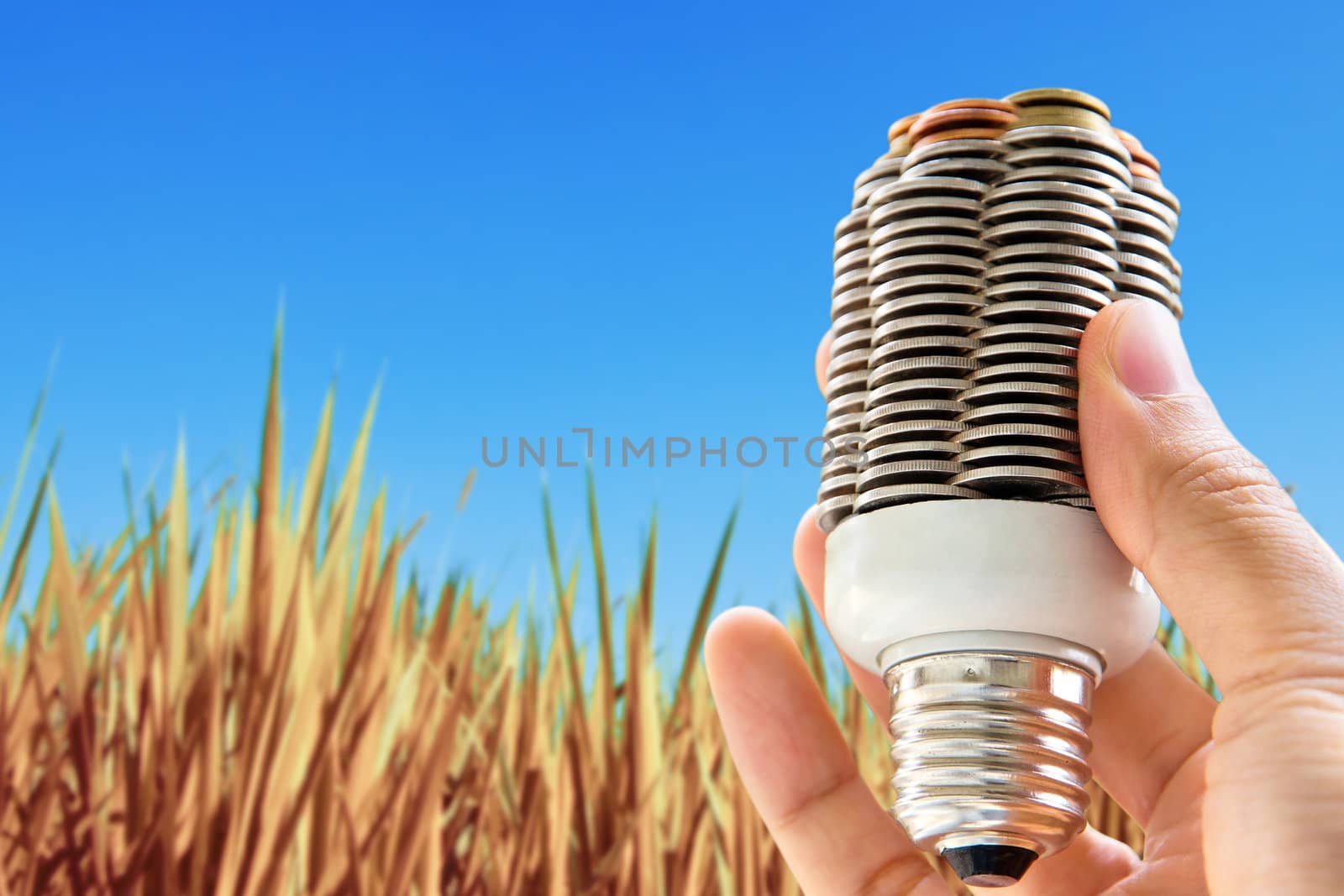 hand holding coin light bulb,energy concept