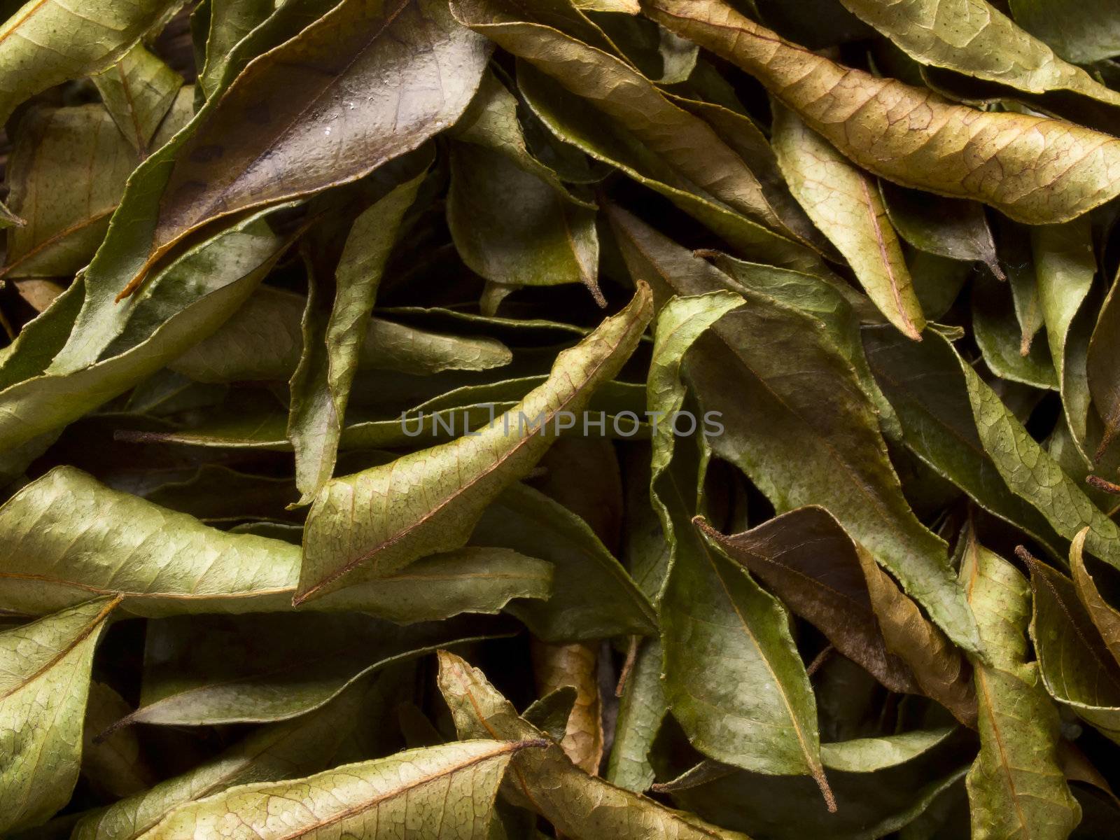 close up of dried indian curry leaves food background