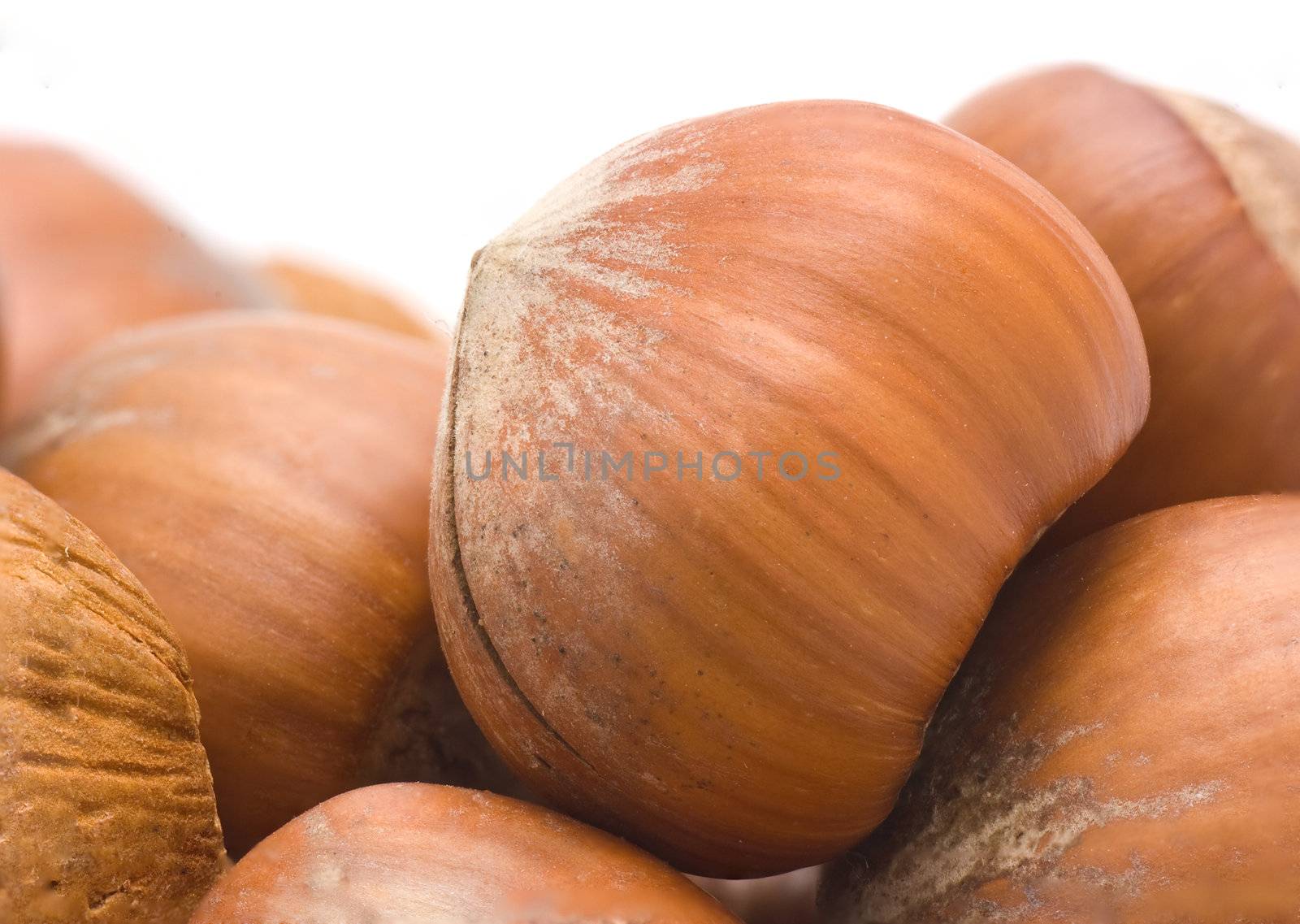 Hazelnuts, wallnuts, almonds and pecan nuts
