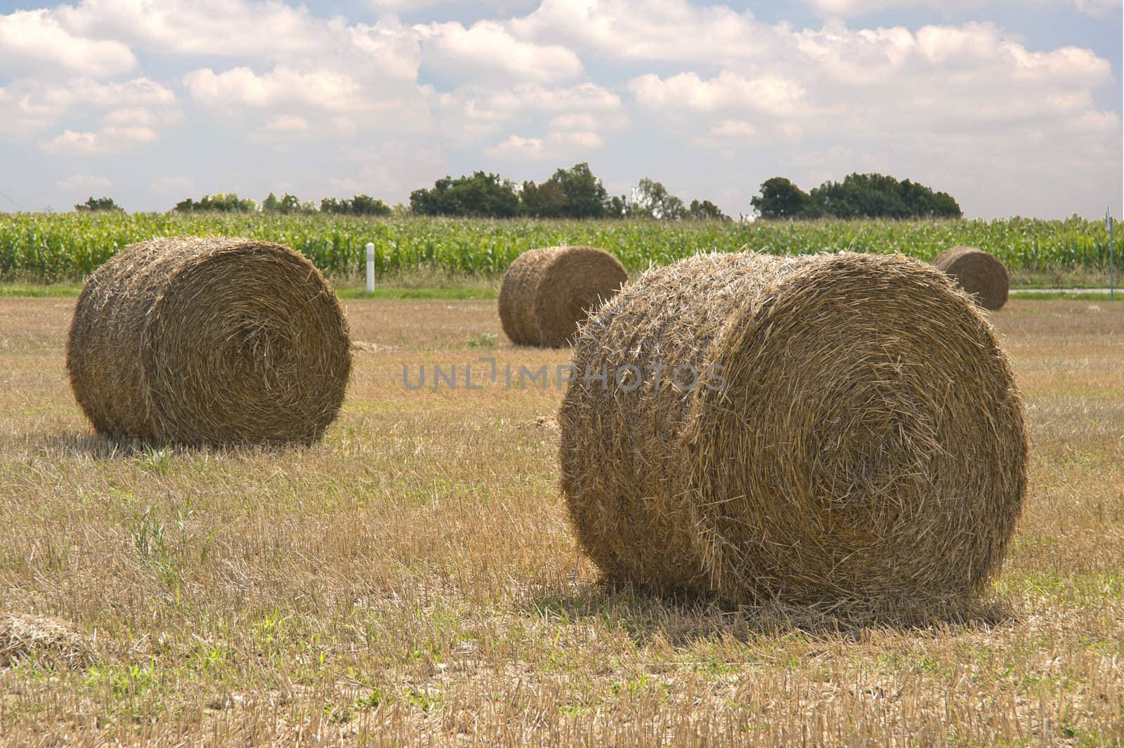 Bales of hay in a French field