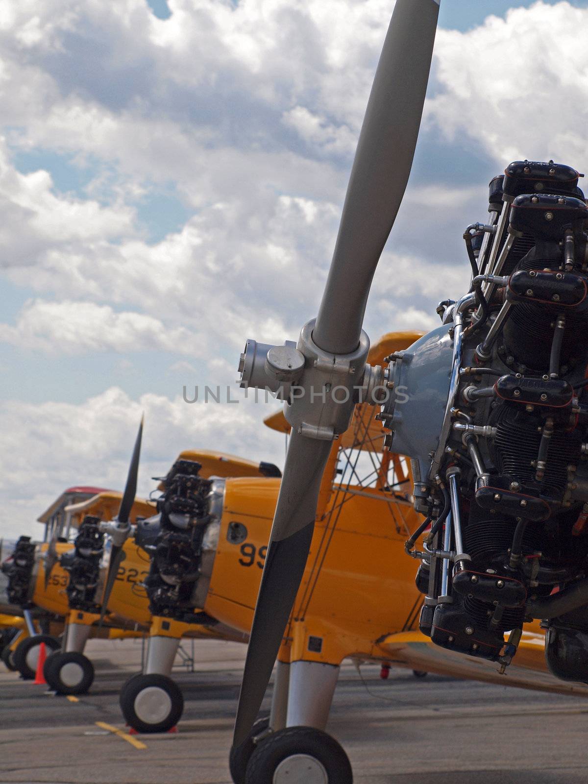 Vintage Propeller Airplanes Lined Up at Airshow