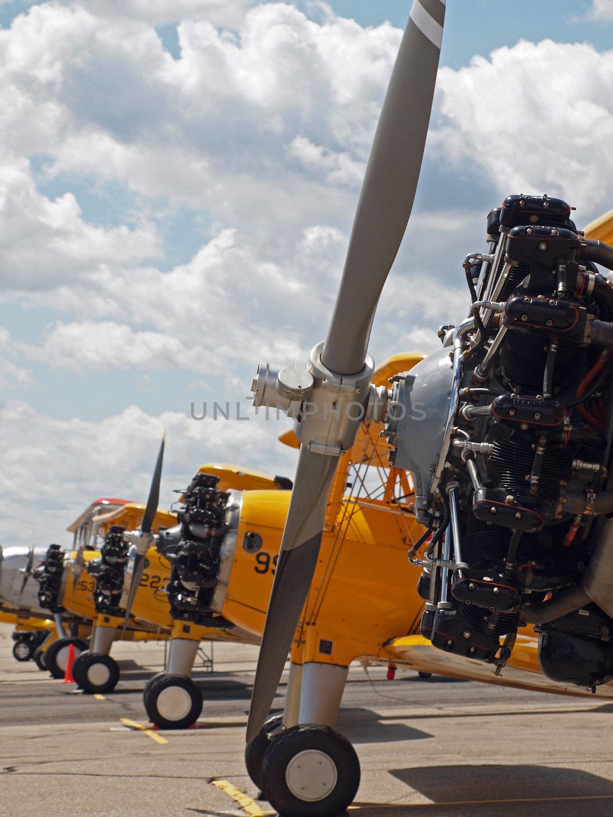 Vintage Propeller Airplanes Lined Up at Airshow