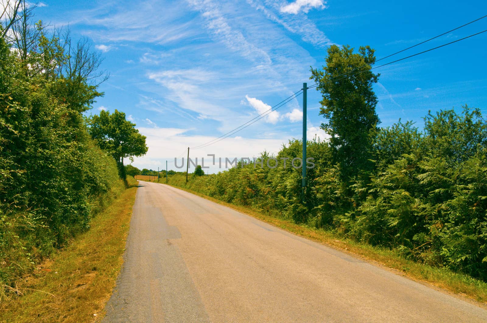 French country road in summer