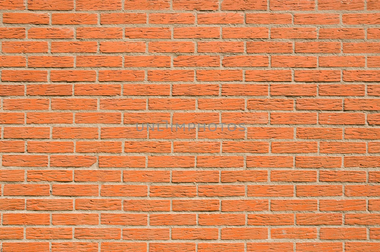 Red brick wall with textured bricks