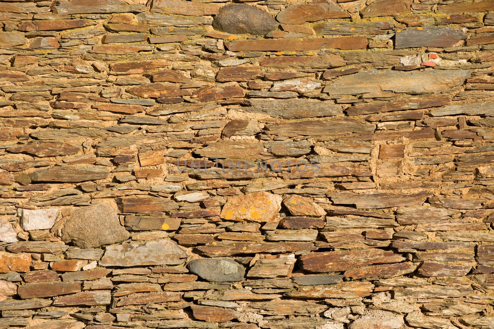 Background texture of an old wall 