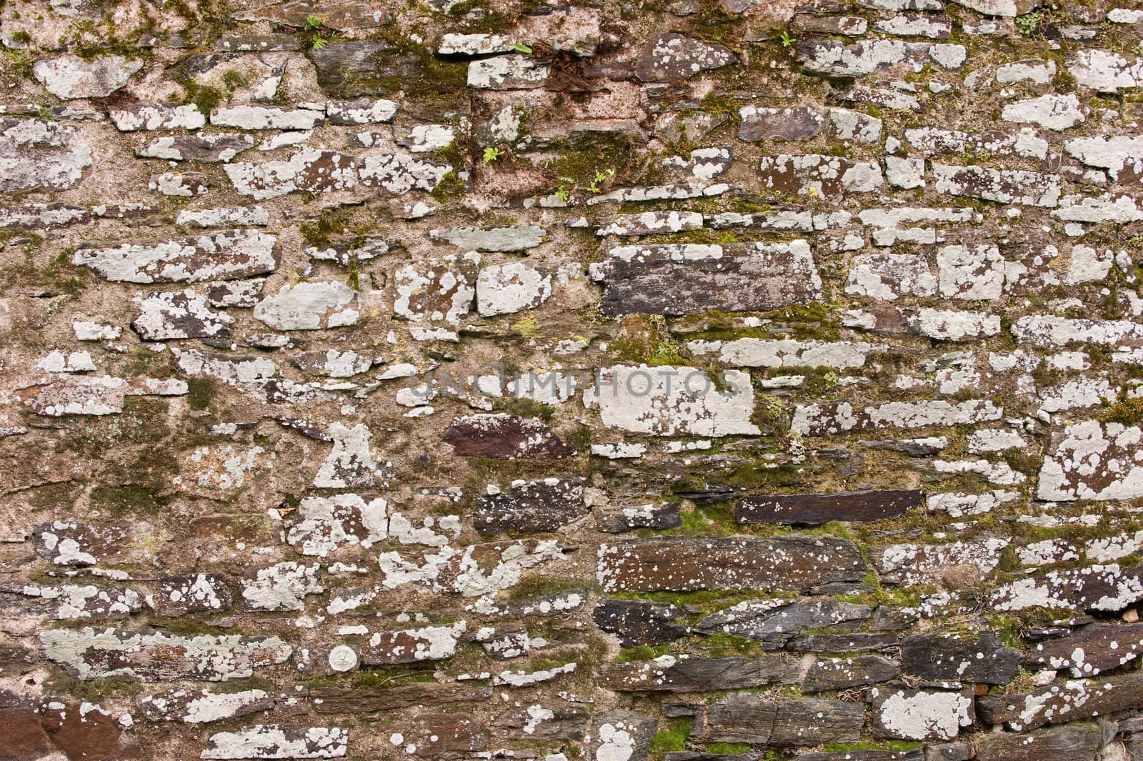 Background texture of an old wall 