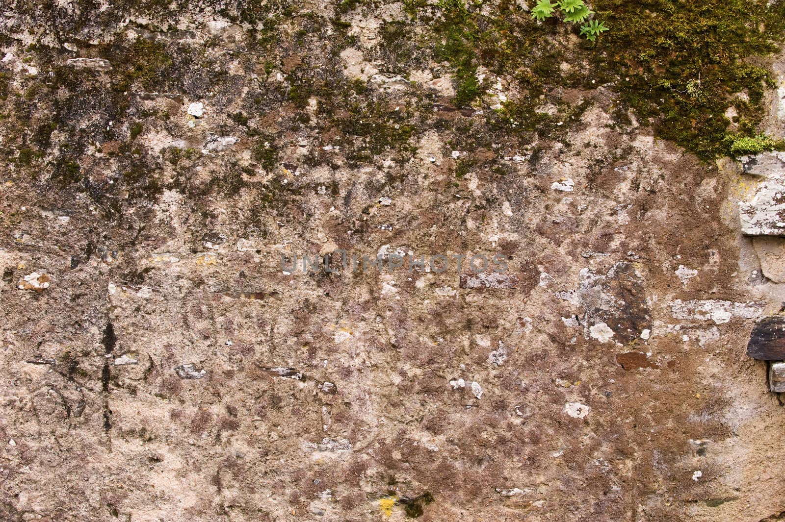 Background texture of an old wall 