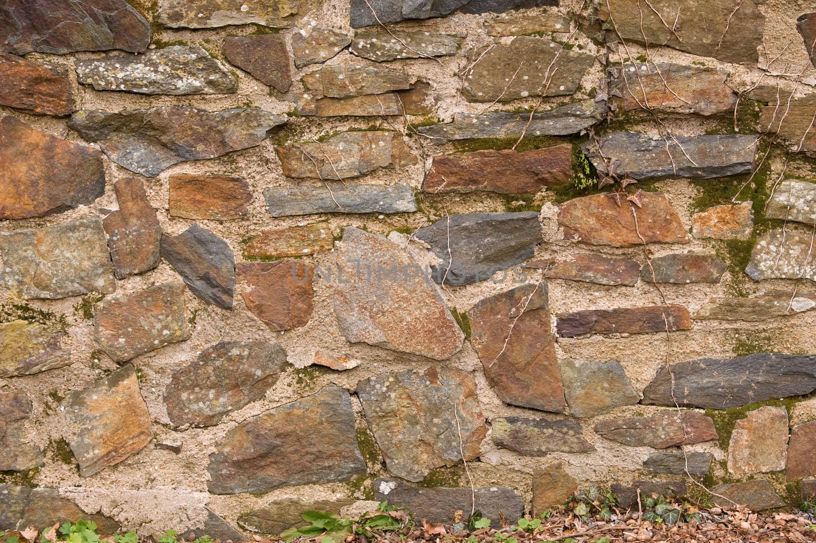 Background texture of an old wall 