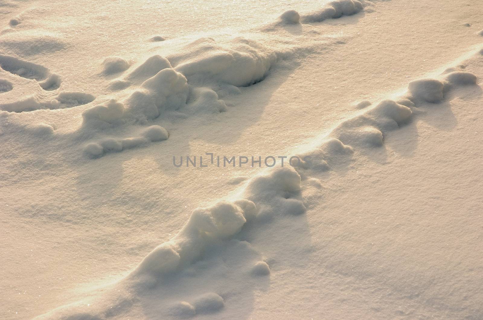 Covered track in the snow