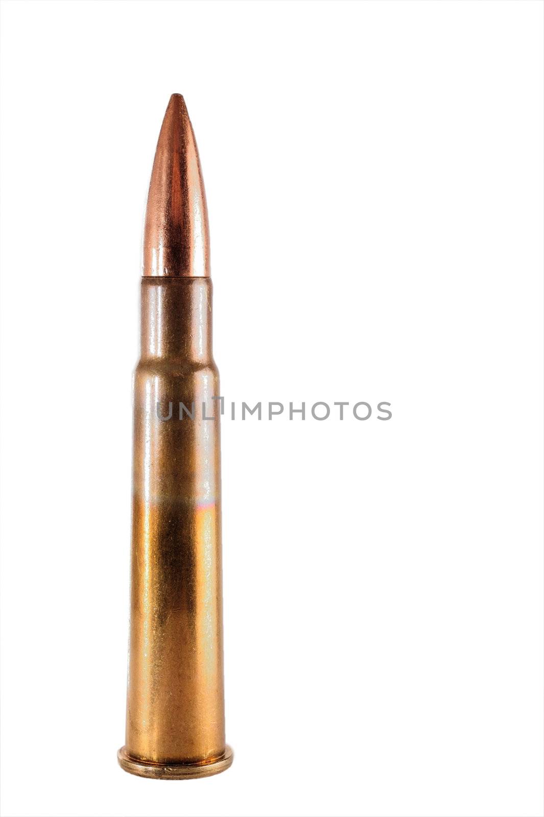 British .303 cartridge