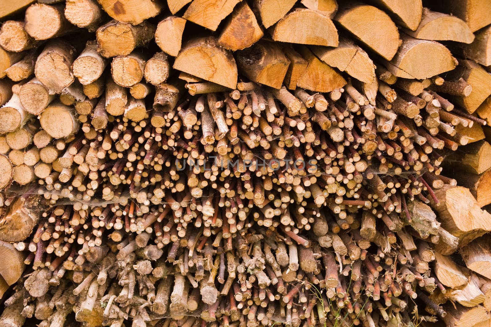 Stacked logs of fire wood