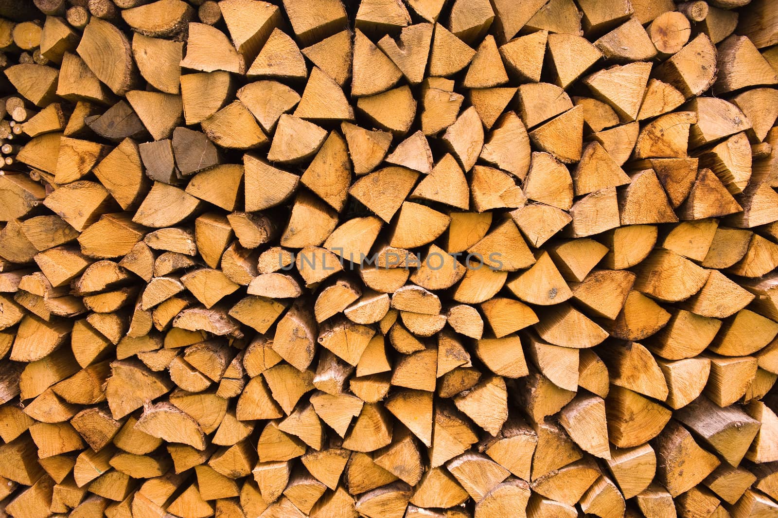 Stacked logs of fire wood