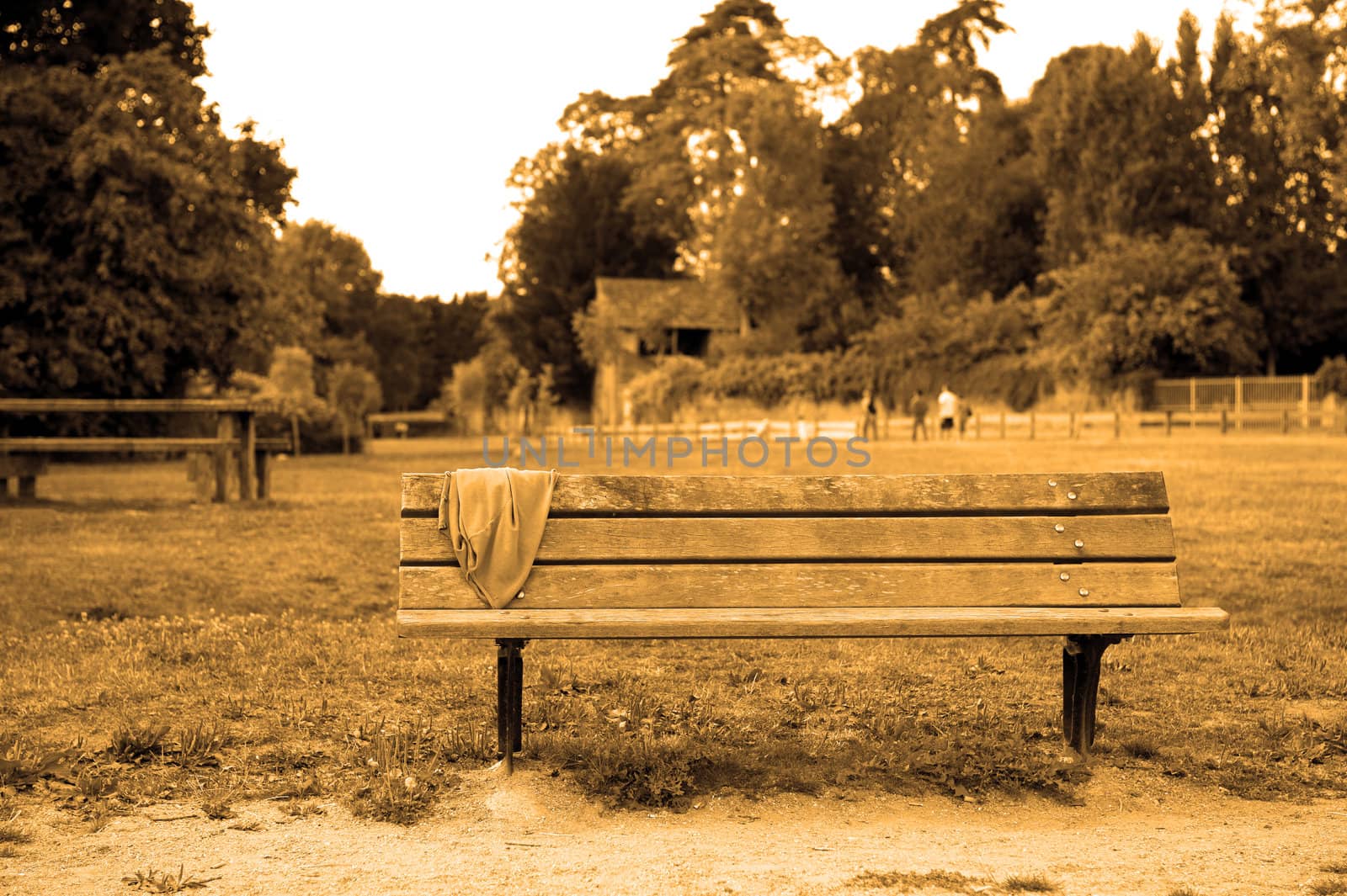 Sepia Park bench