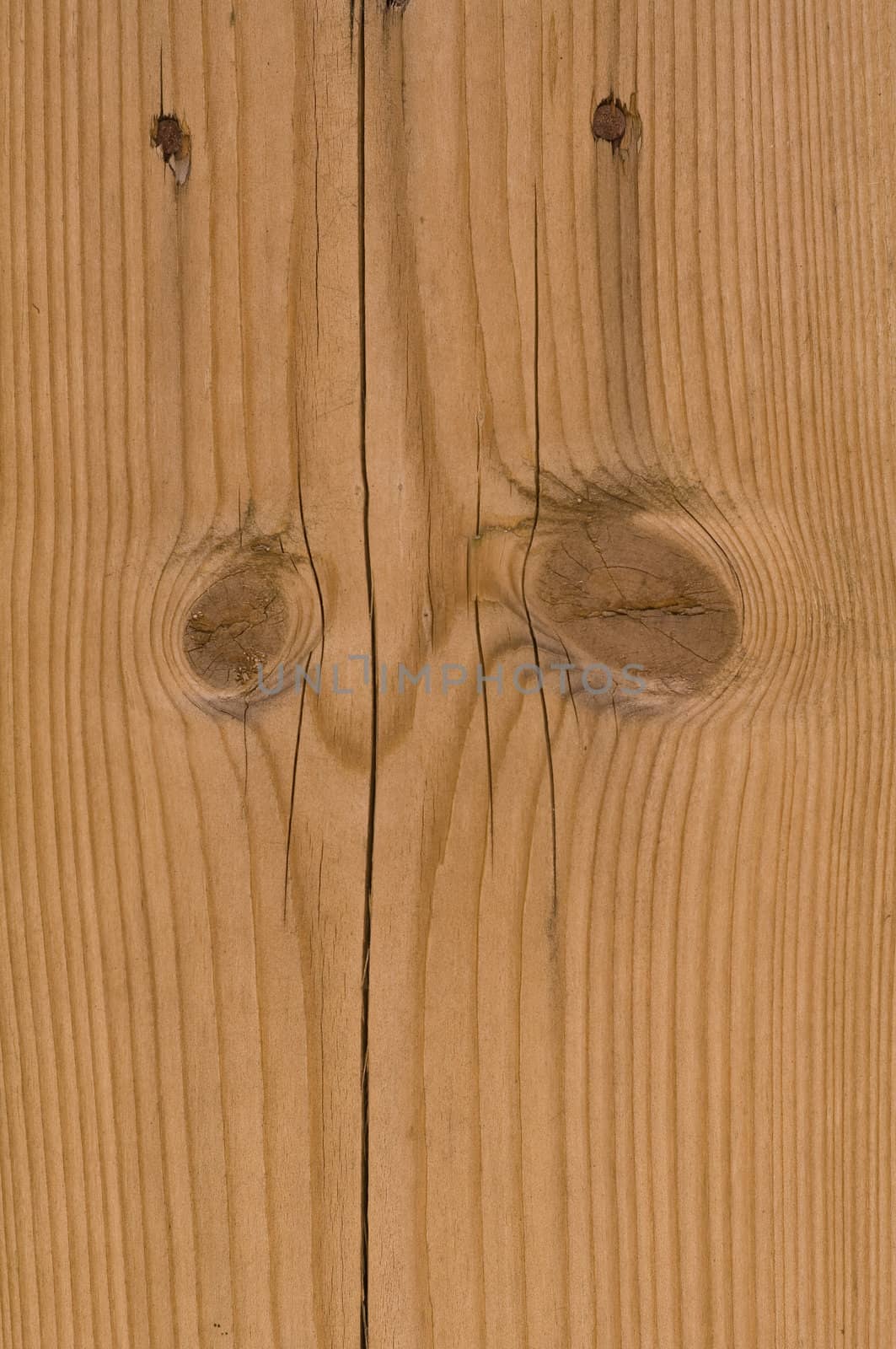 Pine woodgrain texture