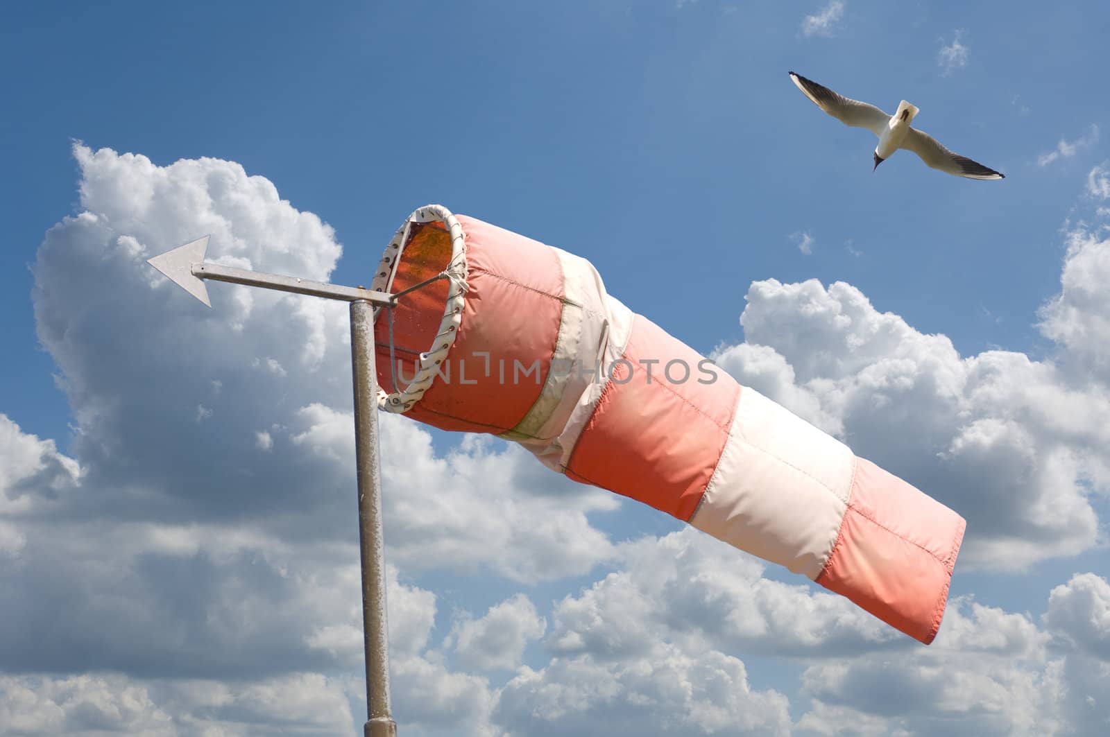 Red and white wind sock