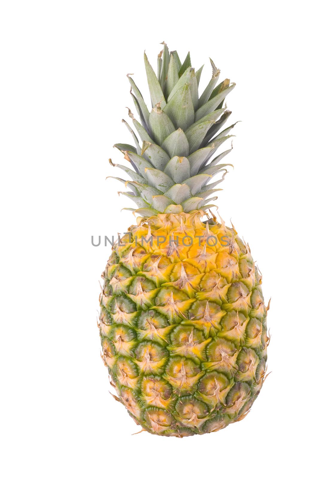 Nice and fresh pineapple on white