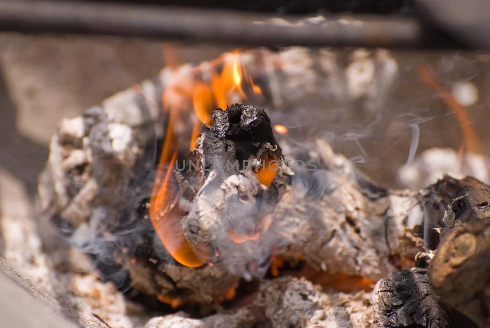Wood fire burning in a barbecue