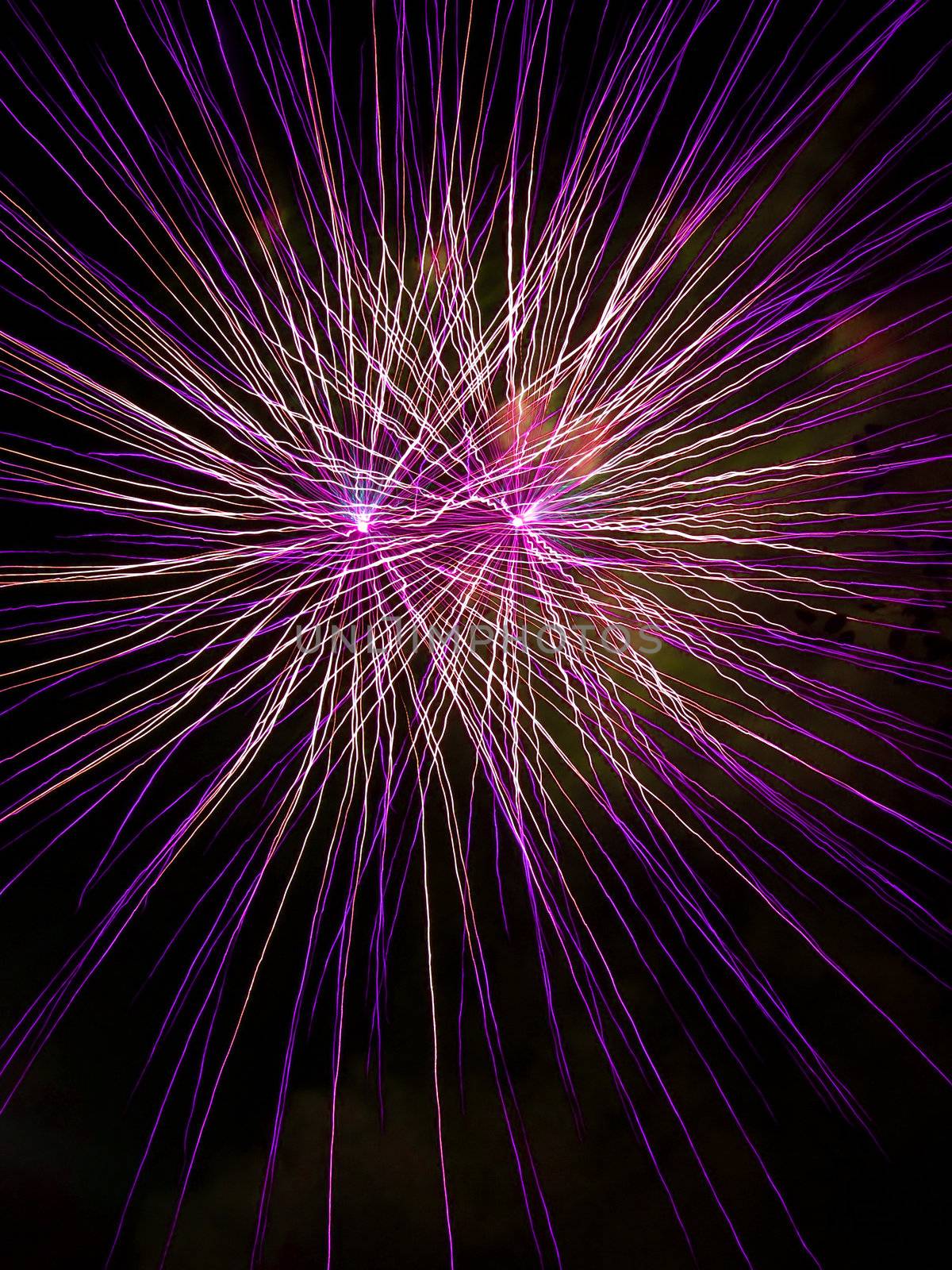 Long Exposure of Pink Fireworks Against a Black Sky