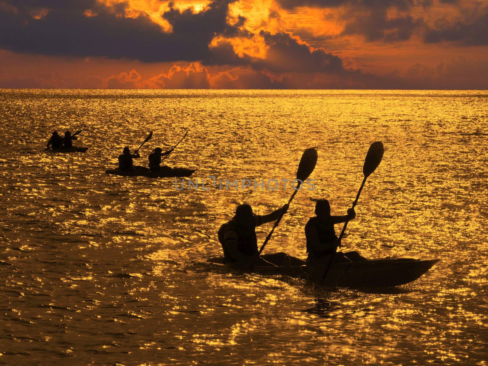 Kayakers rowing into the sunset