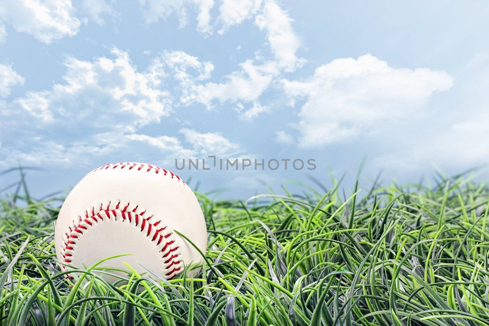 Baseball in lying in the grass on a beautiful summer day. 