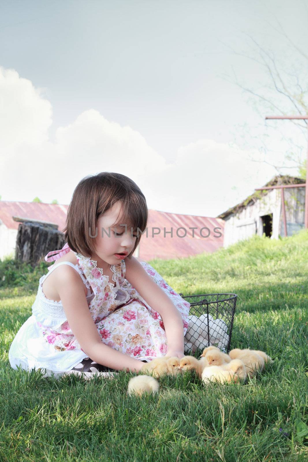 Child Playing with Chicks by StephanieFrey