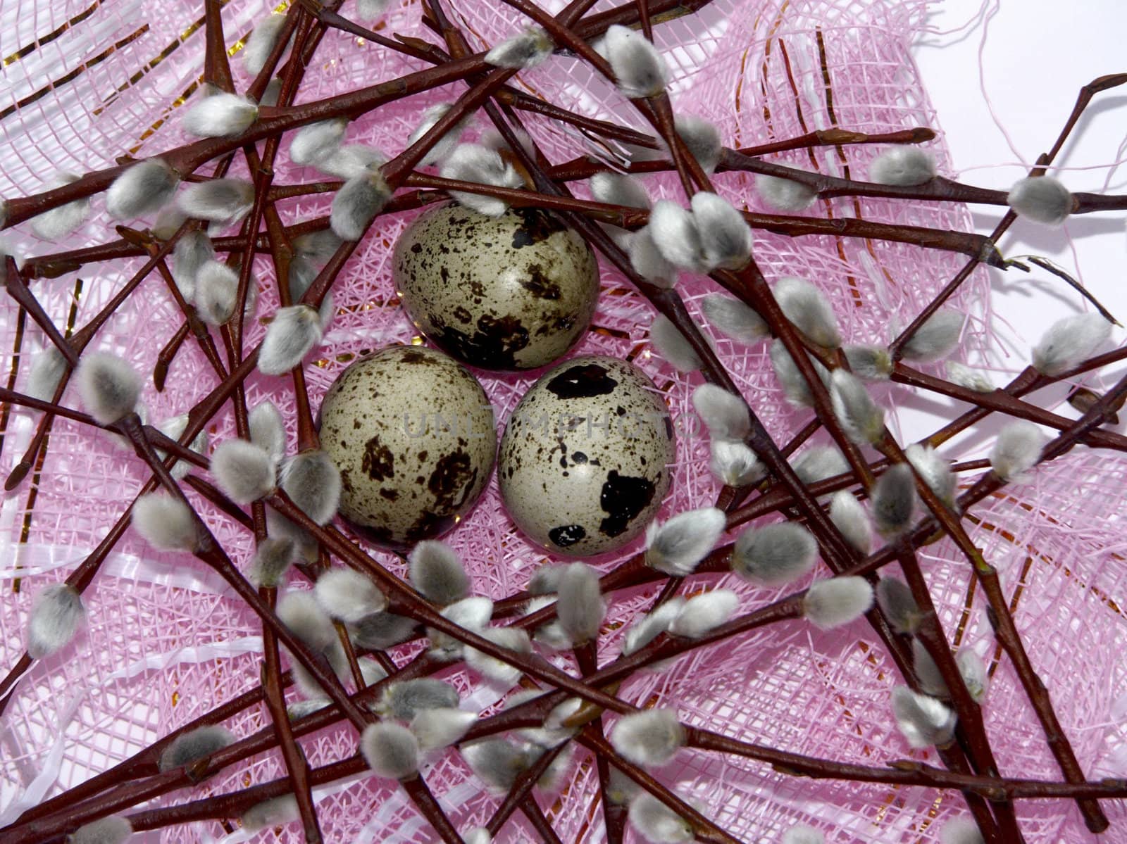 Willow and eggs 4 by soloir