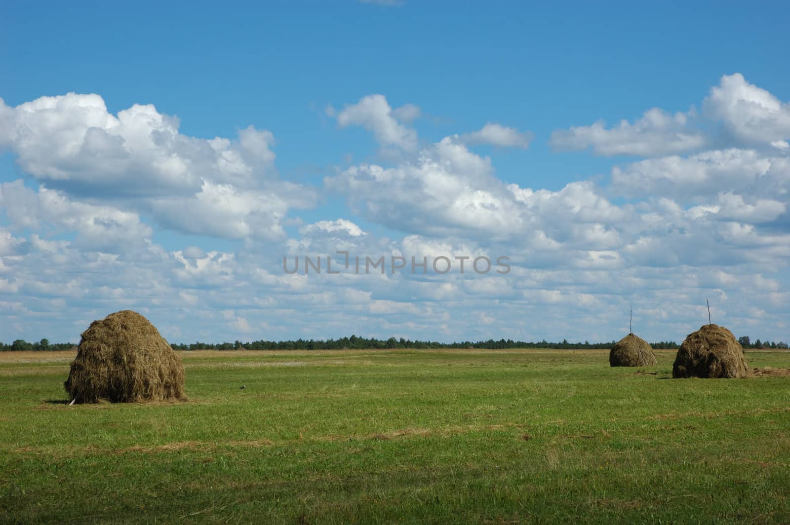 Three hayricks on the meadow, clouds in the sky, north Russia