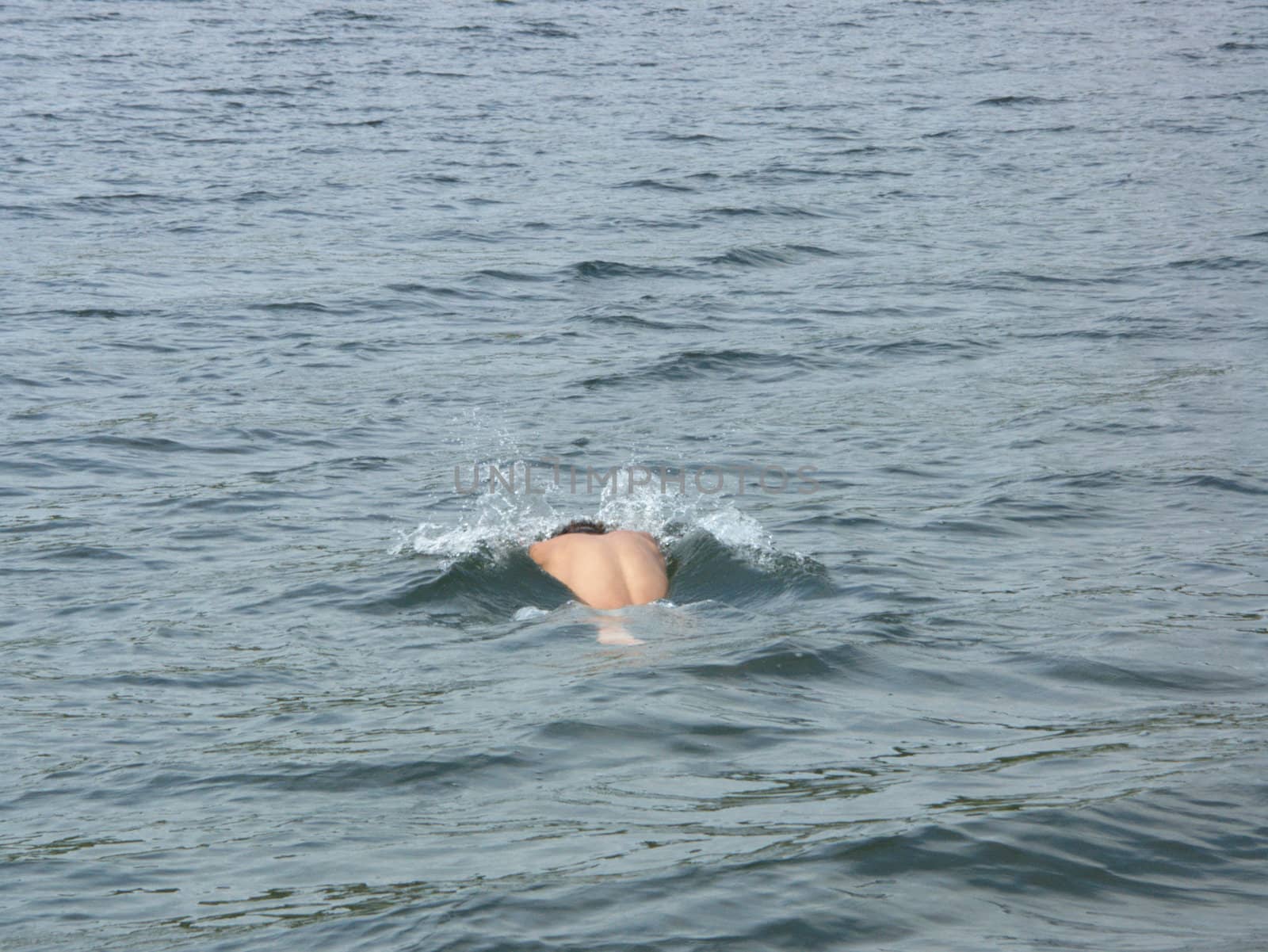 The image of a back of the swimmer in lake