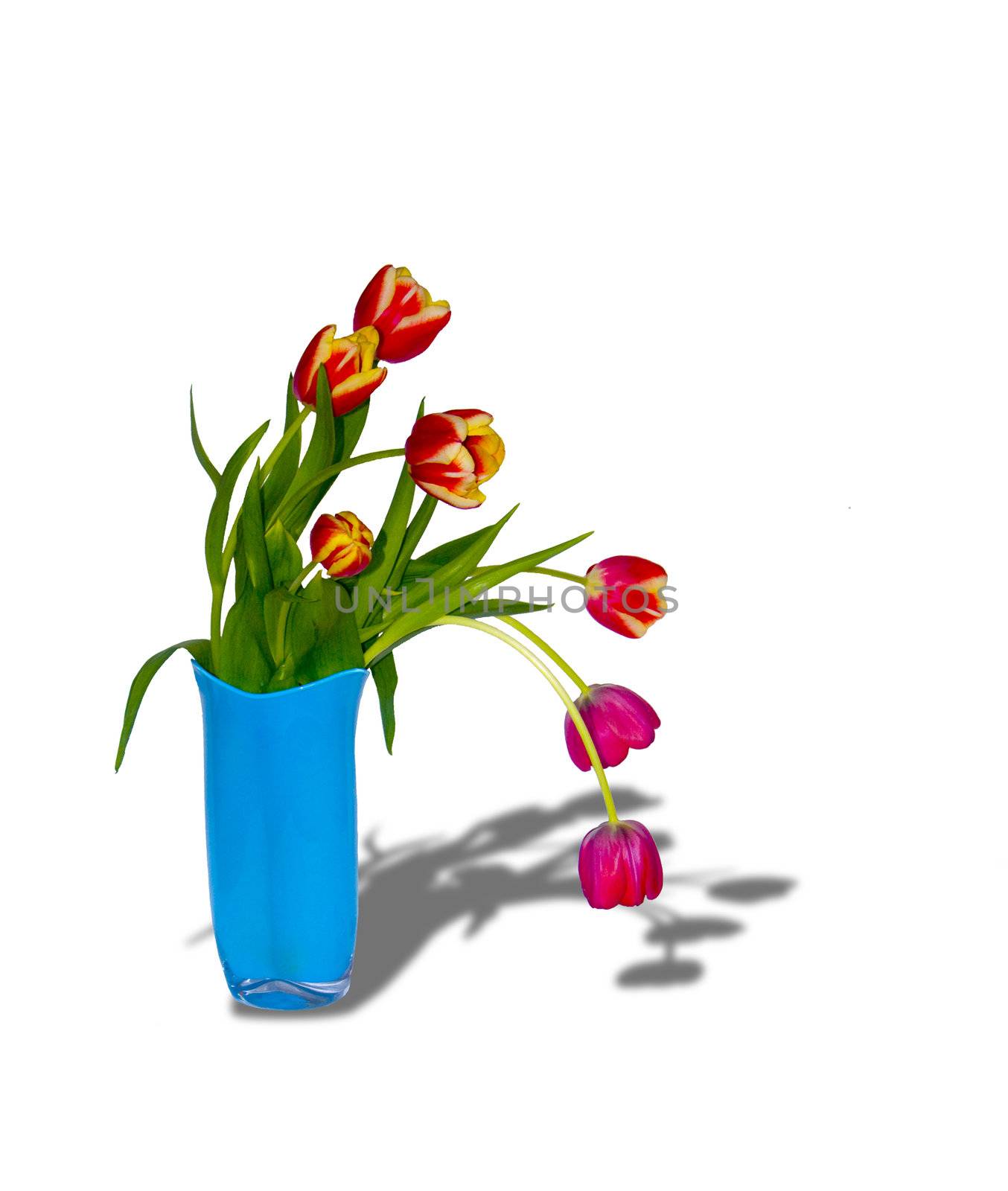 Bouquet of tulips in a vase8 by soloir