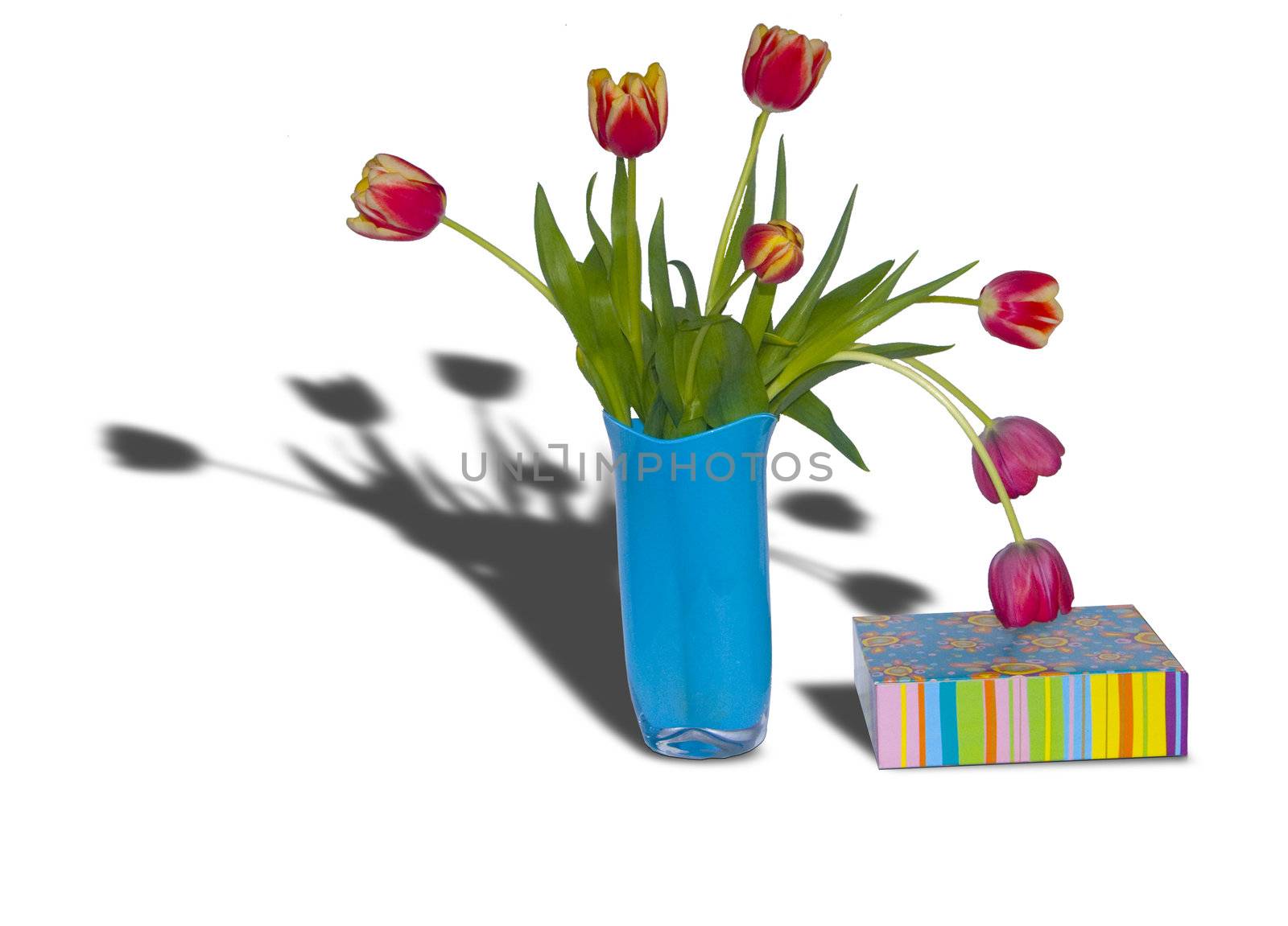 The image of a bouquet of tulips and a gift box