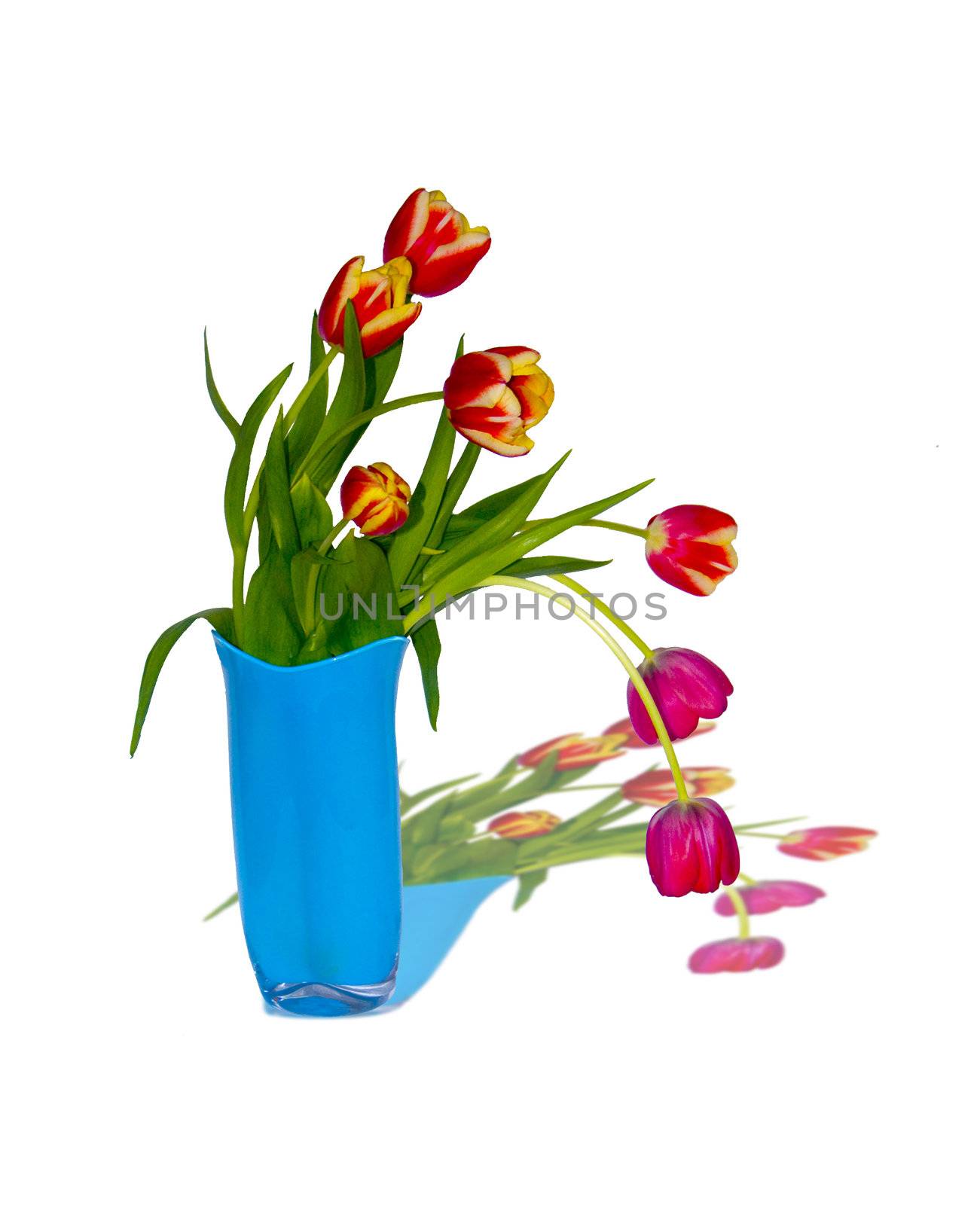 Bouquet of tulips in a vase9 by soloir
