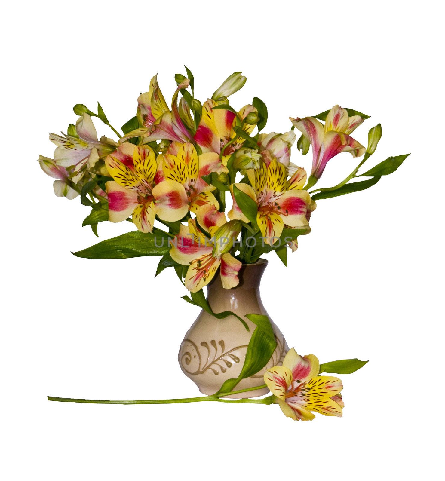 bouquet of alstroemeria in a clay vase by soloir