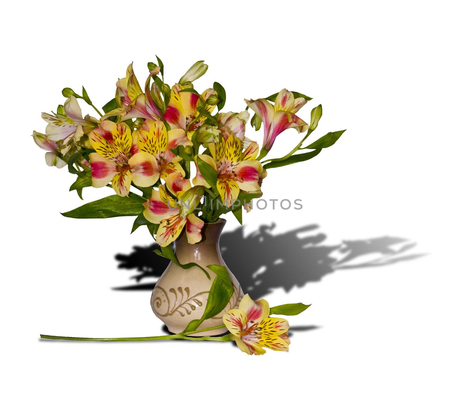	bouquet of alstroemeria in a clay vase by soloir