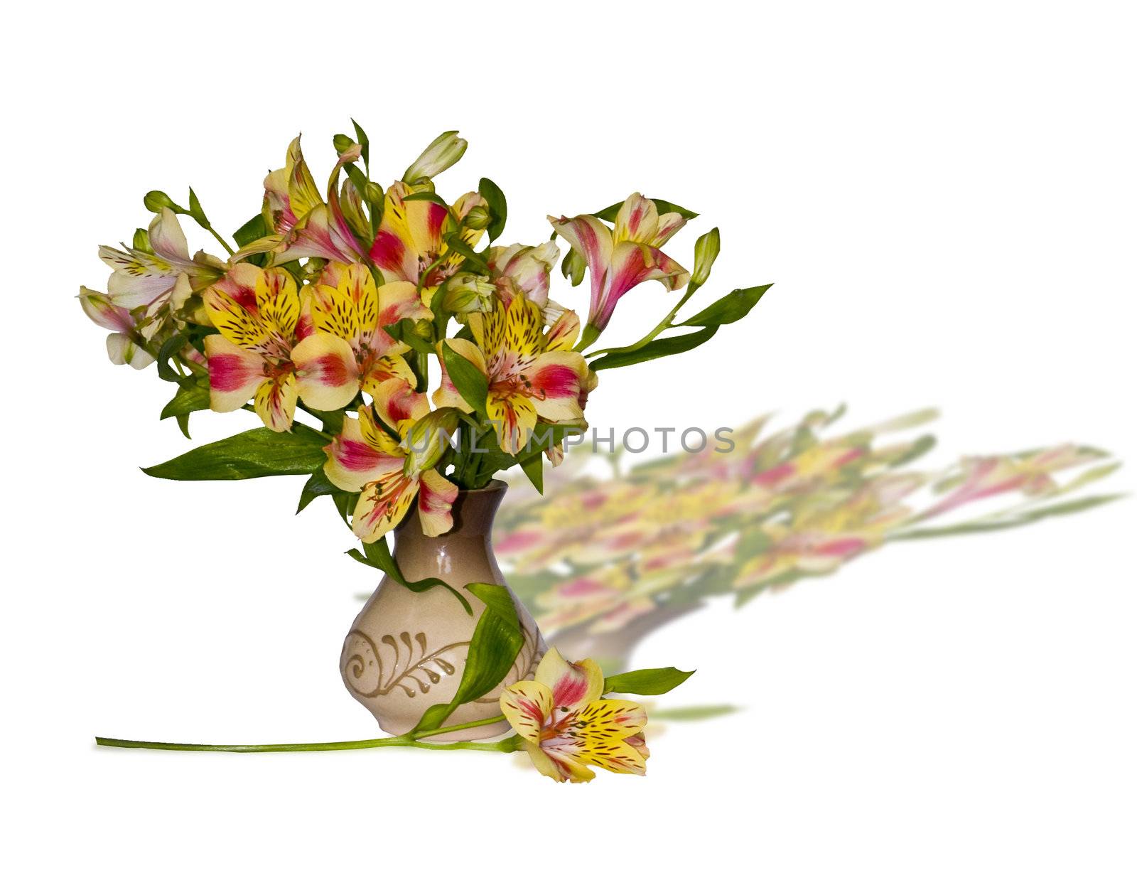 bouquet of alstroemeria in a clay vase3 by soloir