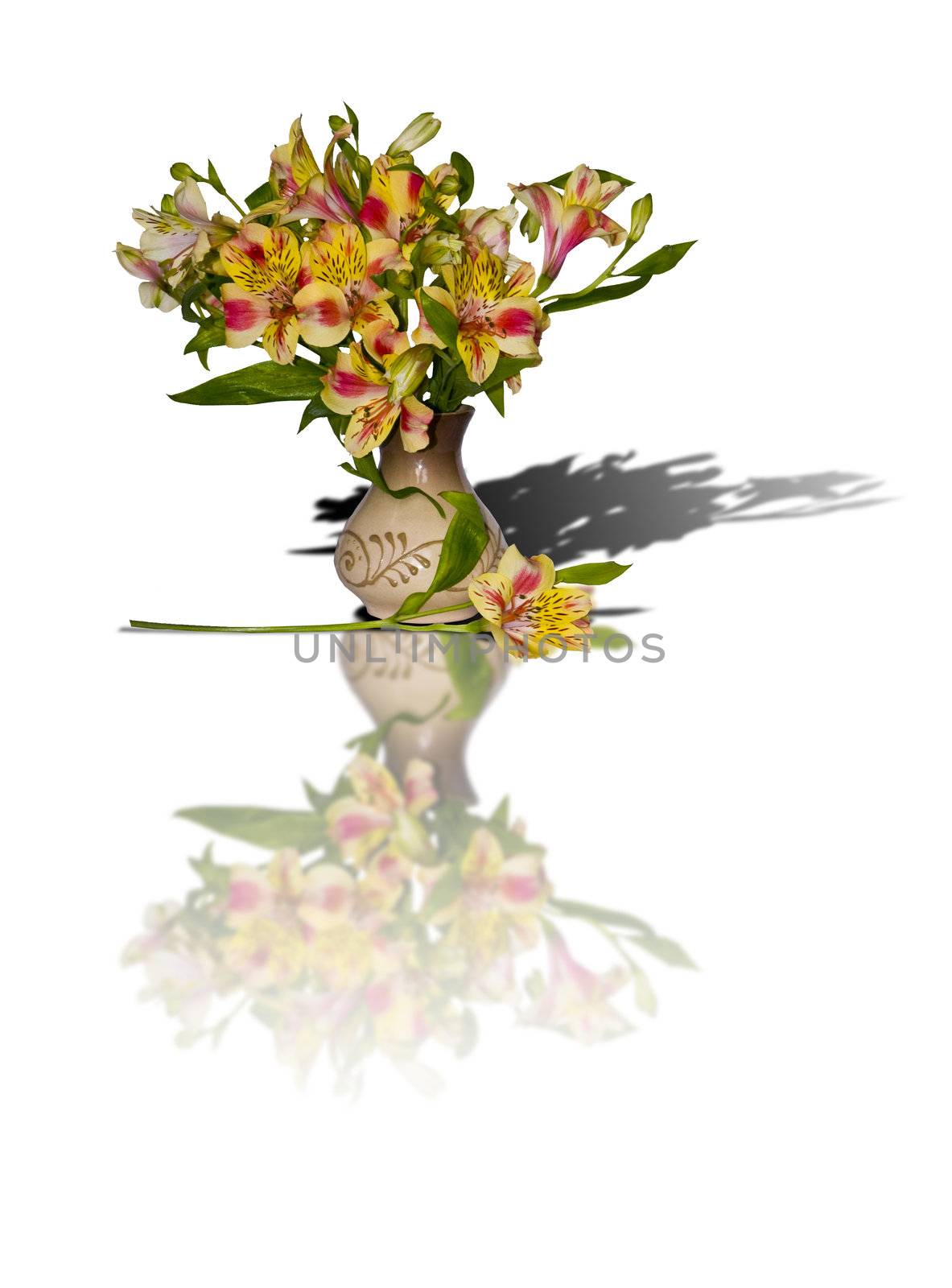 The image of a bouquet of alstroemeria in a vase and its shadow