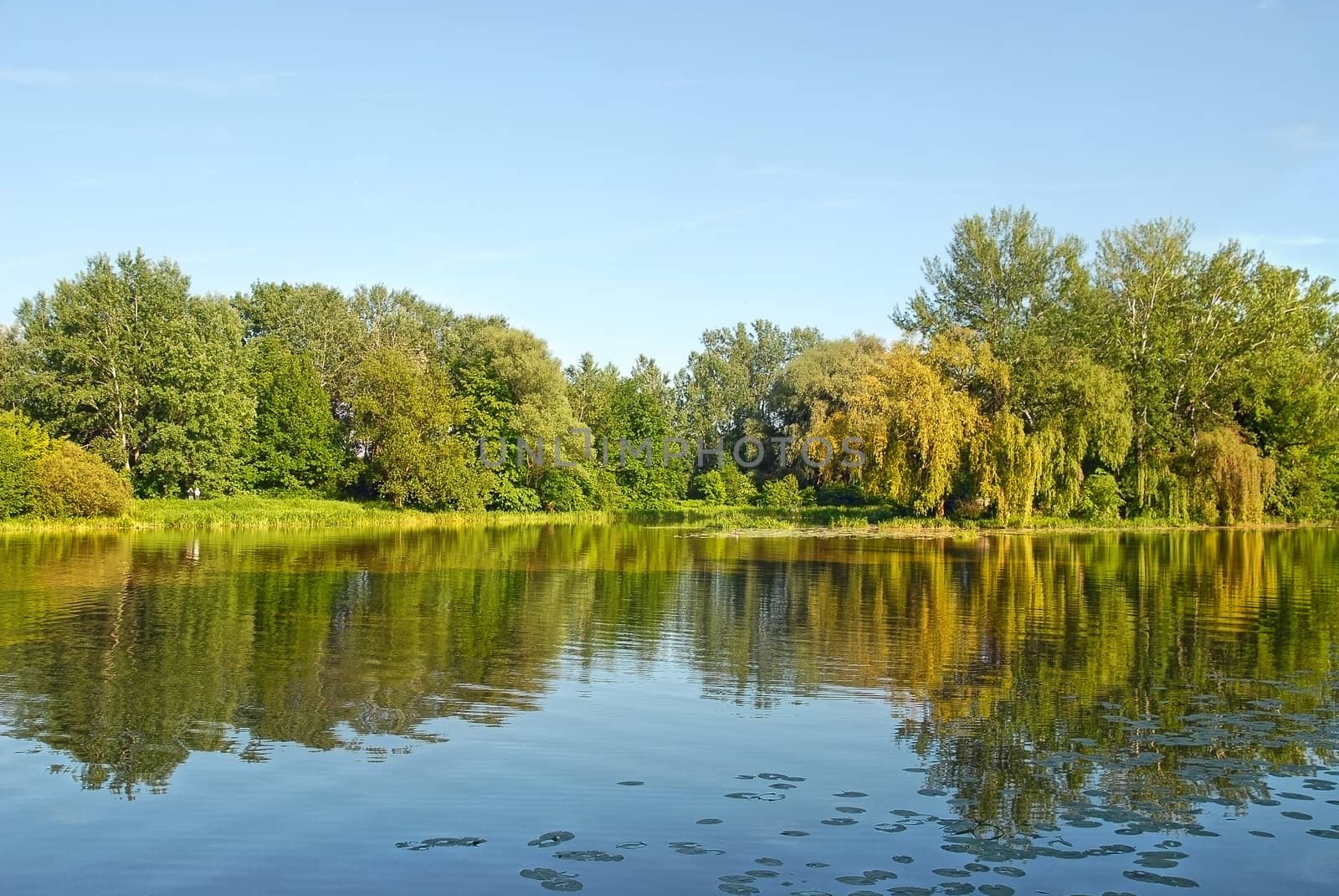 Lake in Wilanow near Warsaw. Summer view.