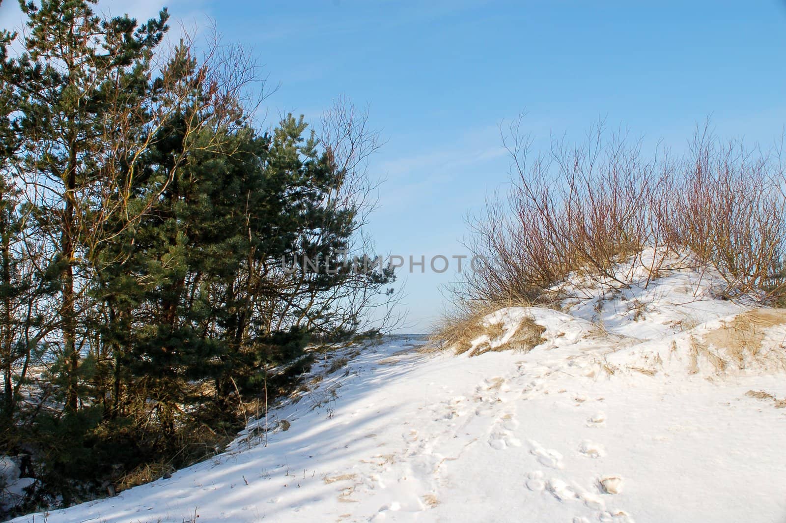 The beach on the Baltic Sea in the winter