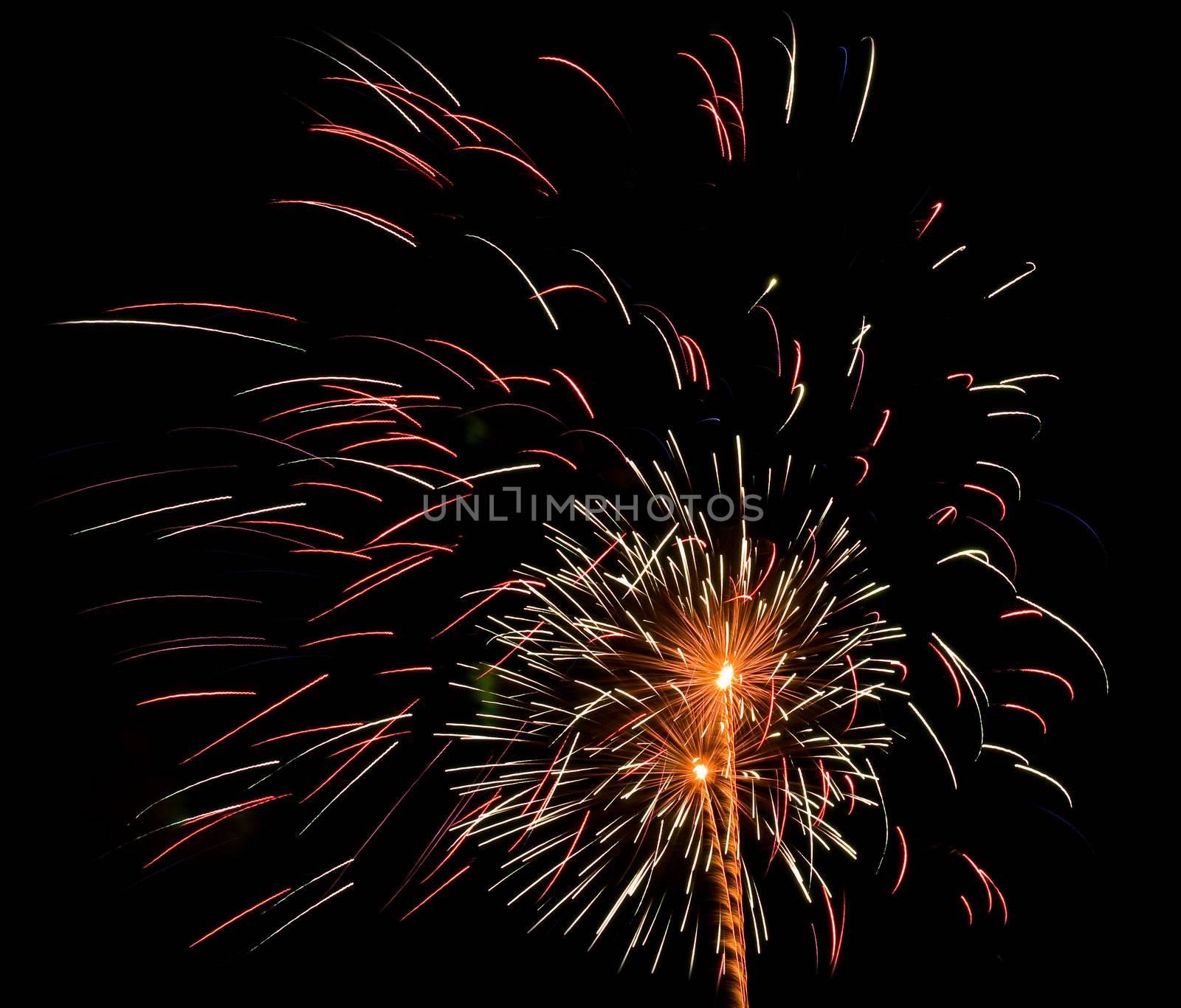 Fireworks Against the Night Sky Isolated on Black