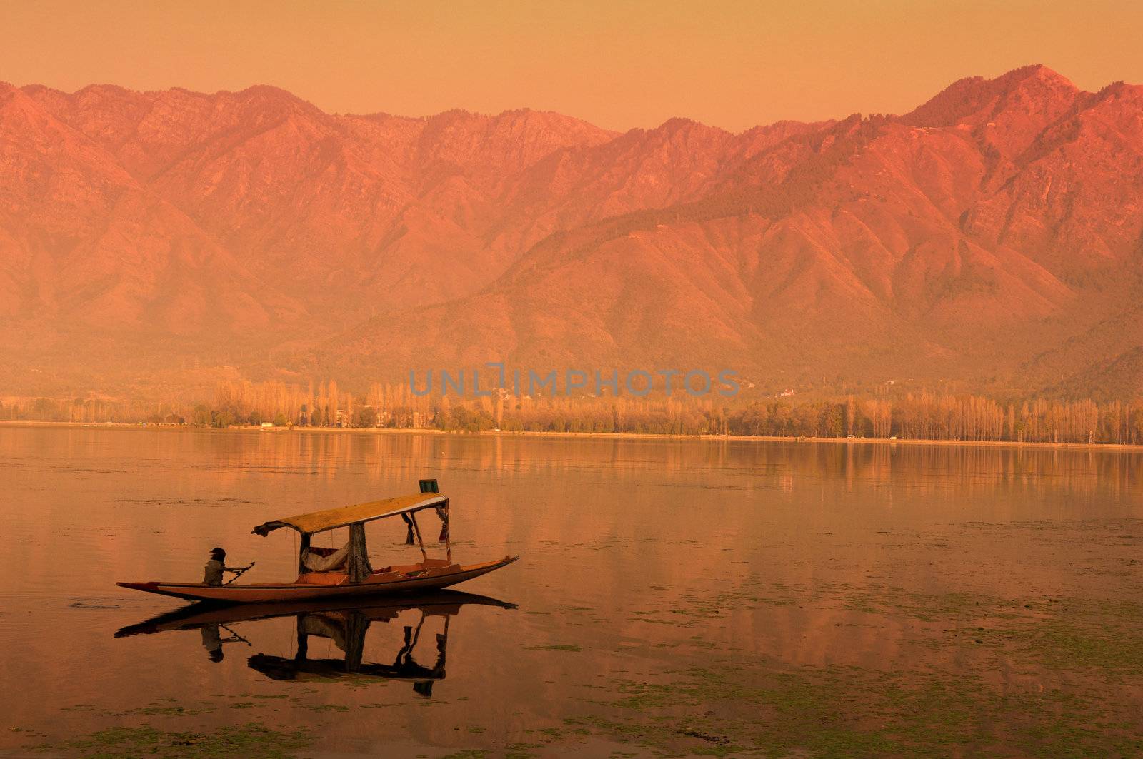 Sunset Dal Lake in Srinagar, Kashmir, India by yuliang11
