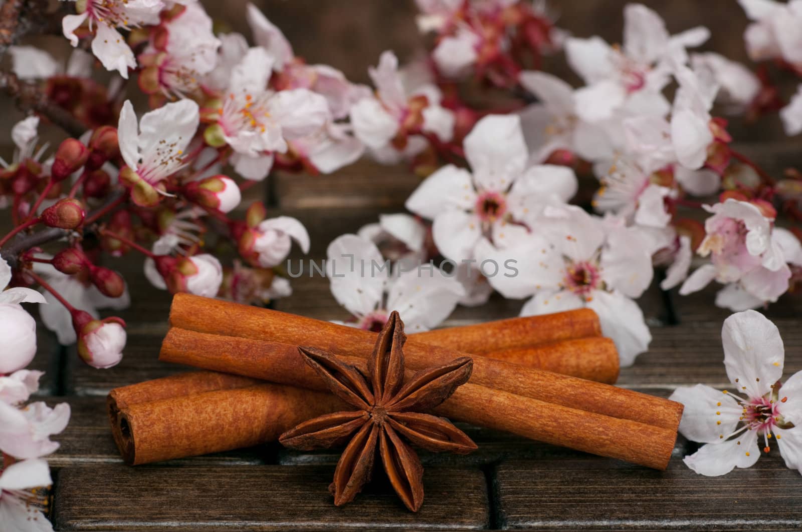 Aromatic spices, anise and cinnamon sticks