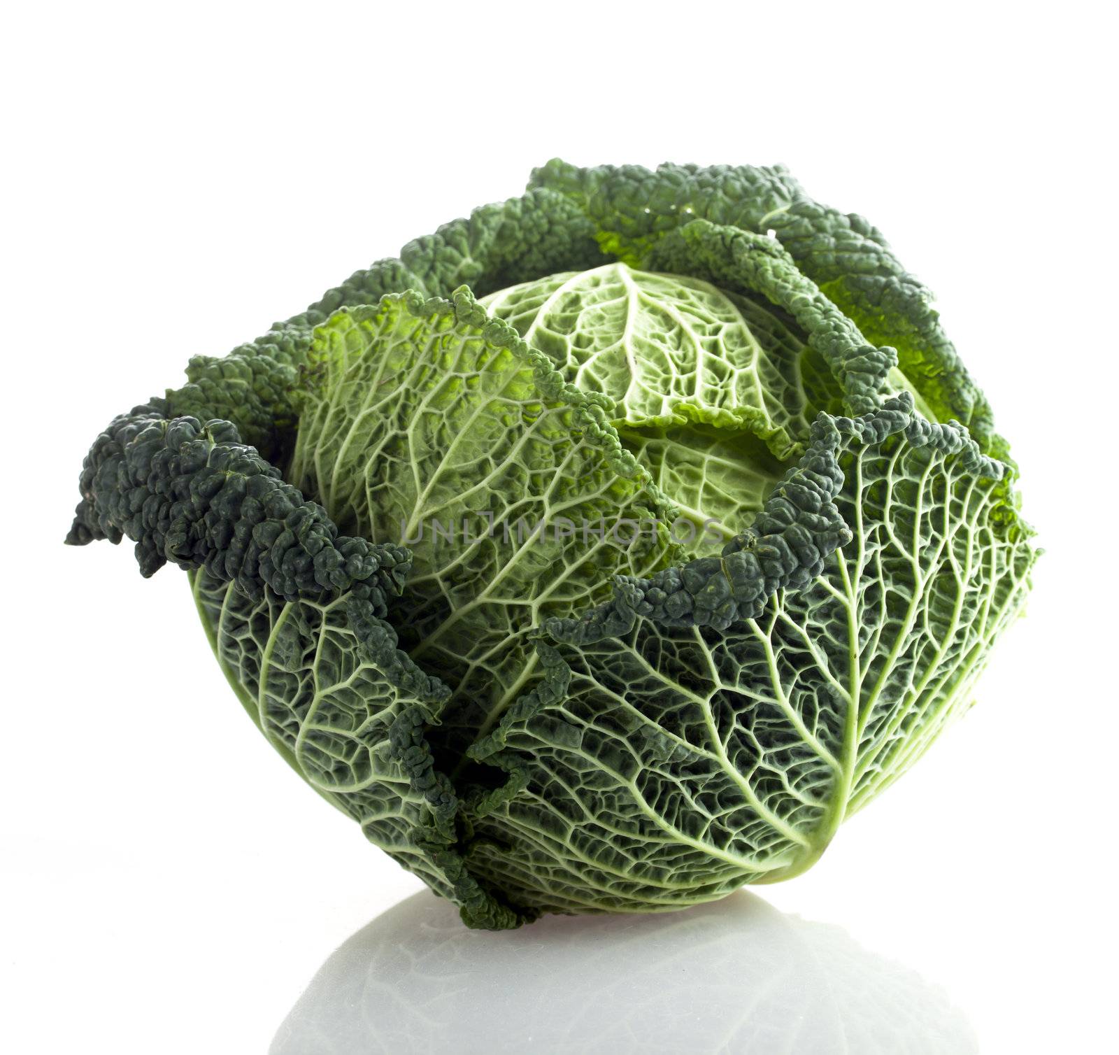 Head of green leaf cabbage on plane background.