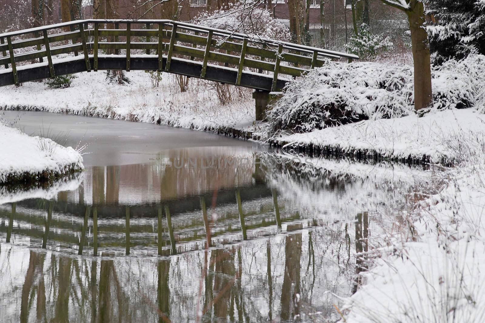 wintertime in the park, with a pond in the snow