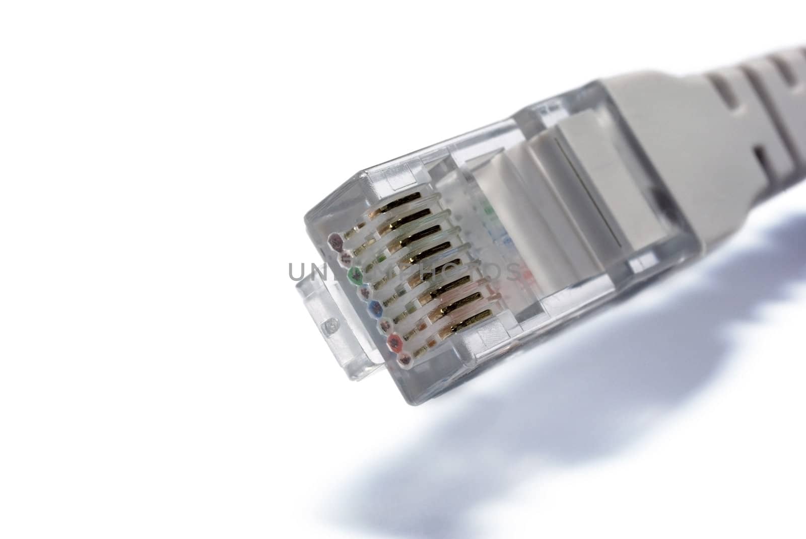 RJ45 connector of UTP cable closeup on white background. by borodaev