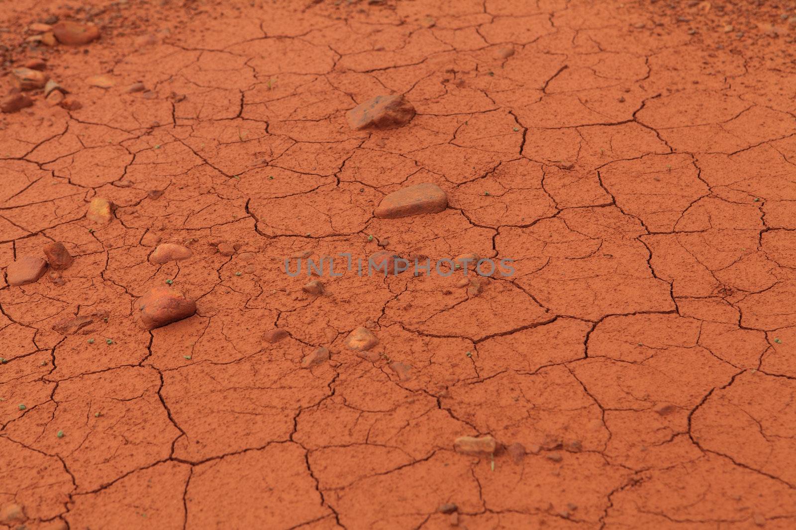 Dried out soil texture  by thanomphong