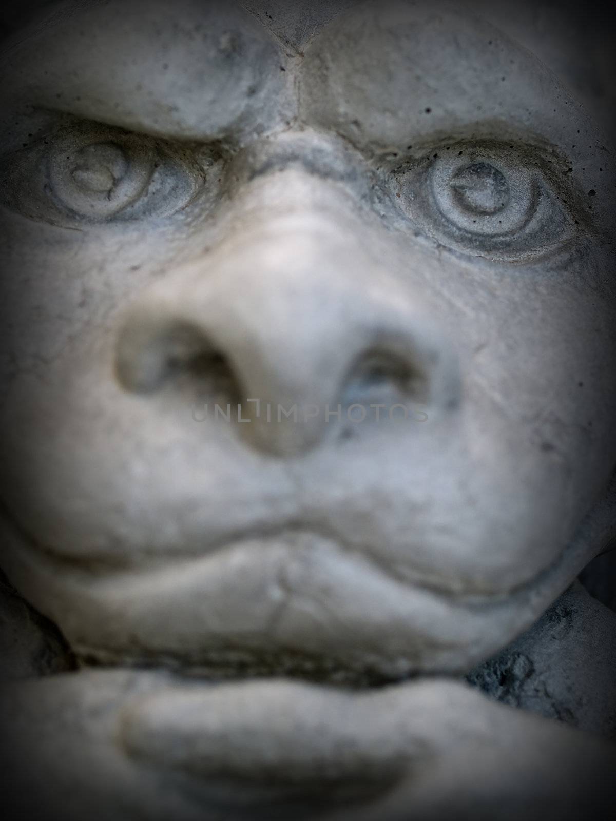 Gargoyle Statue Emphasis on Face and Eyes with a Dark Border