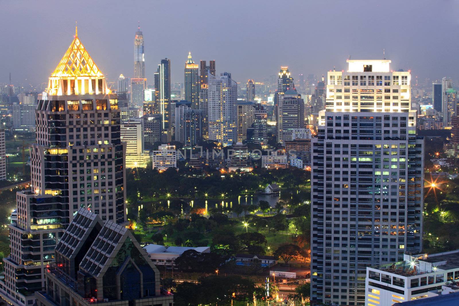 Aerial view of Bangkok Skyline cityscape  and garden Thailand